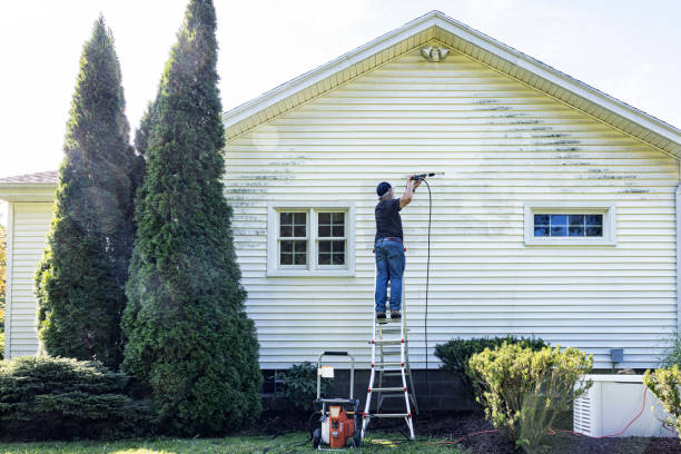 Professional Pressure Washing Services in Lumberton, TX