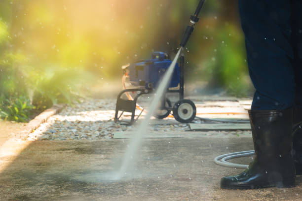 Best Sidewalk and Walkway Cleaning  in Lumberton, TX